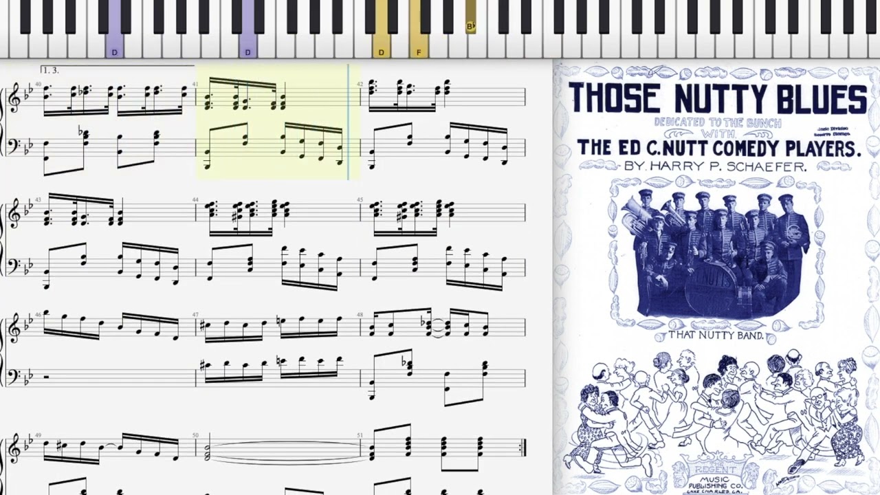 Those Nutty Blues by Harry Schaefer (1916, Ragtime Blues piano)
