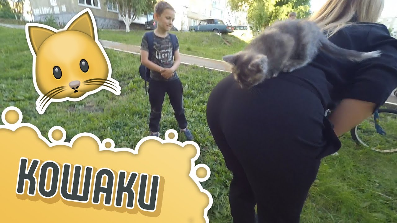 Кошачий VLÕG | Нама окатилась • Салонно-гаражные дела • Купили Машину