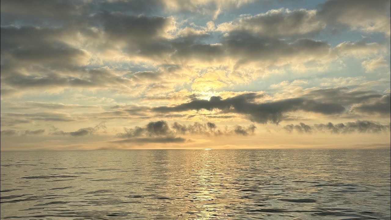 Fluke Fishing Belmar NJ