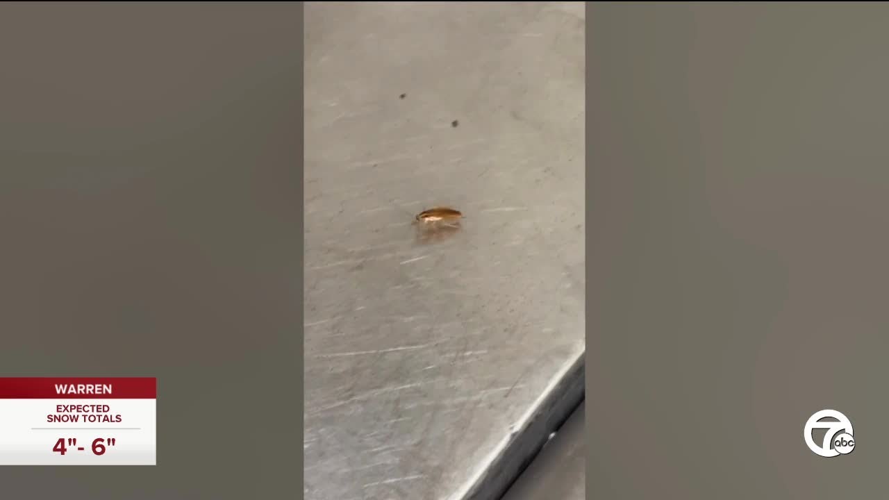 'It was disgusting': Detroit worker shares video of roaches inside RenCen Marriott kitchen