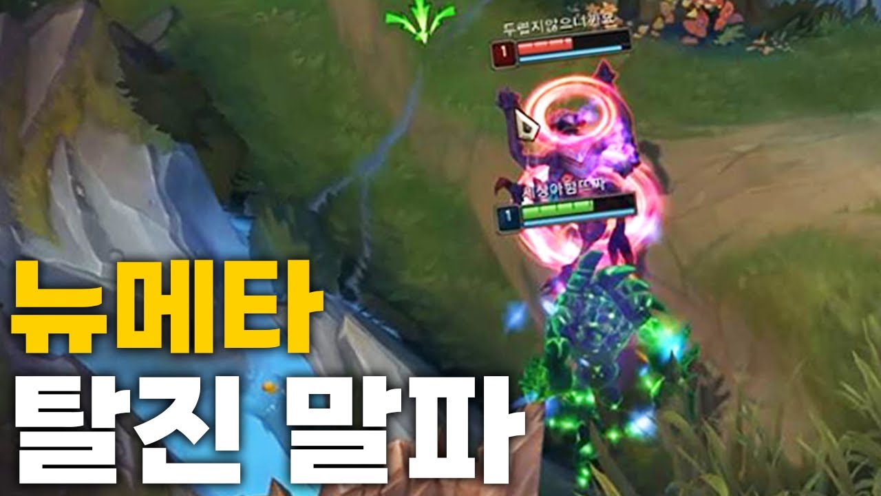 🔞한 미친자가 발견한 뉴메타 