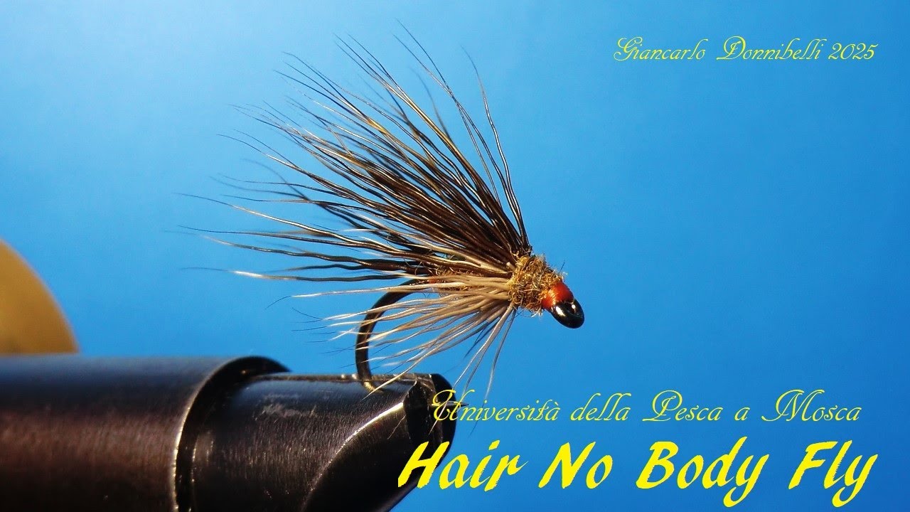 HAIR NO BODY FLY by Giancarlo Donninelli