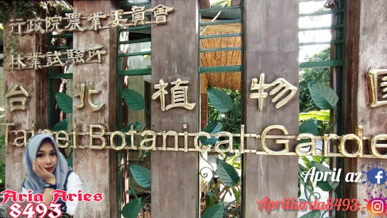 Walk in botanical garden Taiwan 🇹🇼