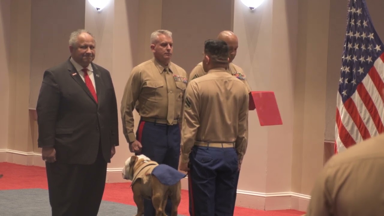 Marine Corps mascot, Chesty XVI, gets promoted