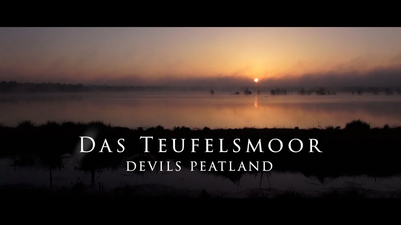 Teufelsmoor, die Natur erobert sich das Moor zurück, cinematic footage, the devils peatland,