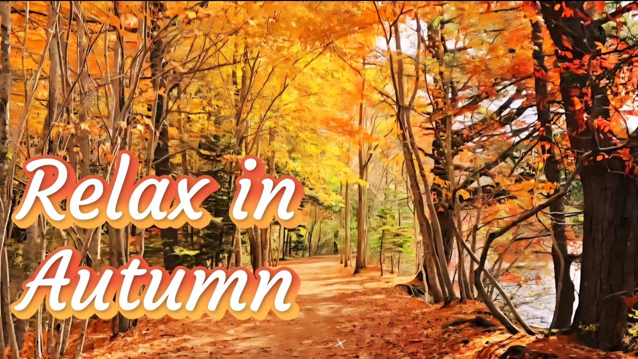 RELAX IN AUTUMN PART 2 - NO TALKING!