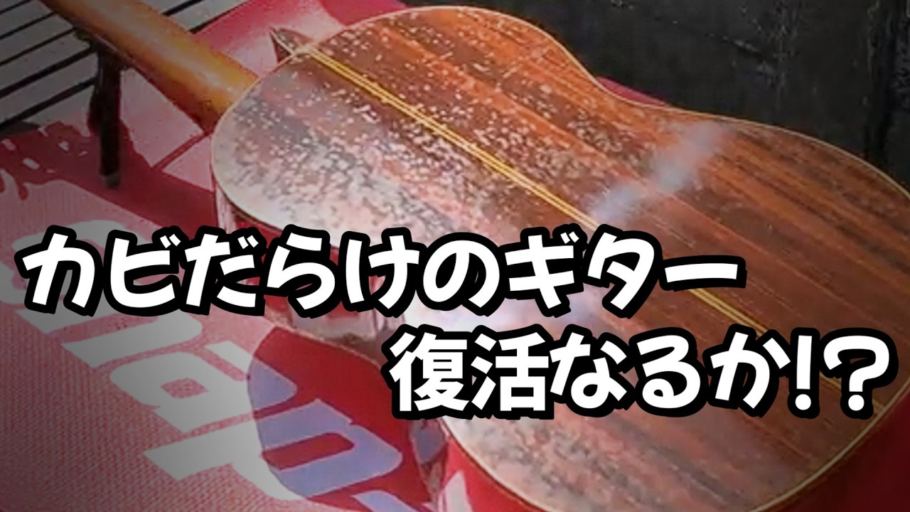 カビだらけのCLASSICAL GUITERをメンテナンスヤッテミヨ！