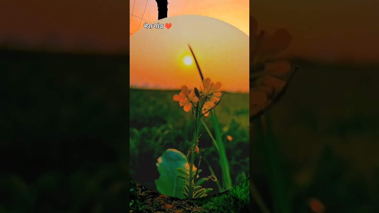 #nature