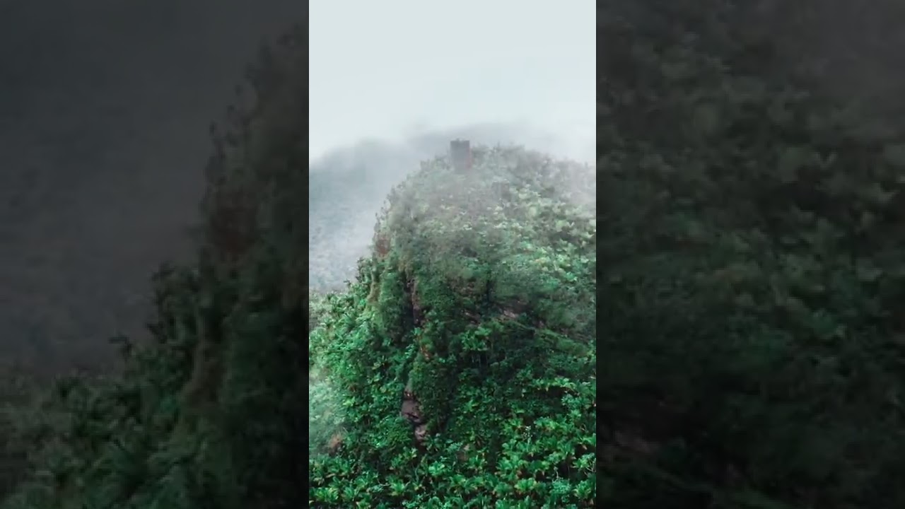 Watchtower of Puerto Rico 🇵🇷