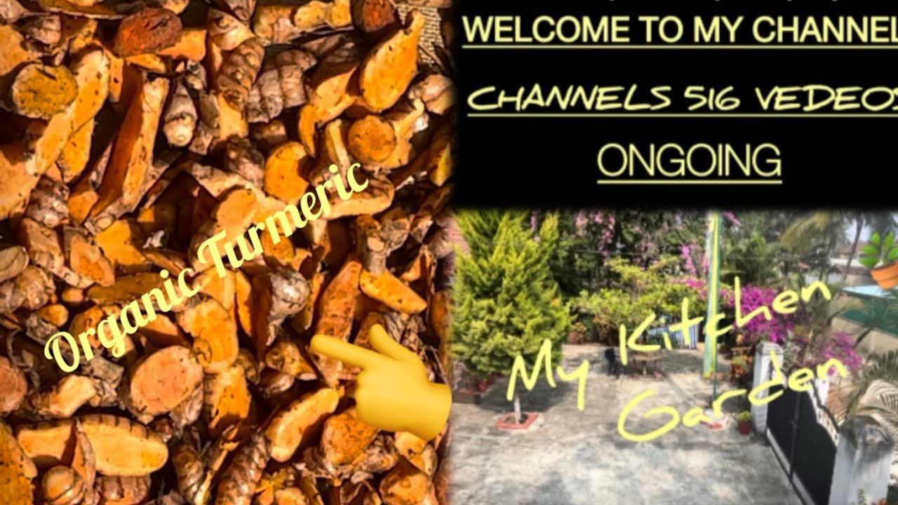 My sweet home 🏠 Kitchen Garden view