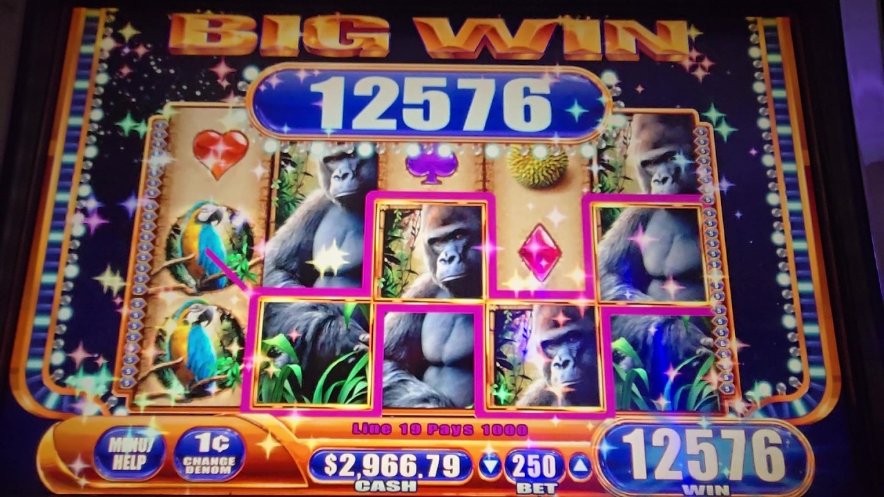 QUEEN OF THE WILD, SPIN TILL YA WIN!!