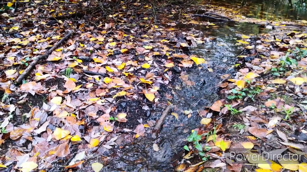 Valdelarco . El Talenque .Oto&ntilde;o 2021.