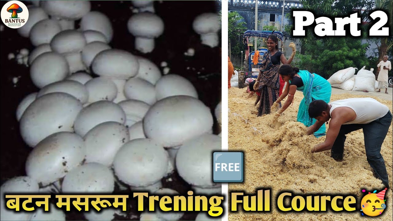 🍄 Part 2 | Button Mushroom की पूरी ट्रेनिंग | घर बैठे मशरूम बिज़नेस शुरू करें!