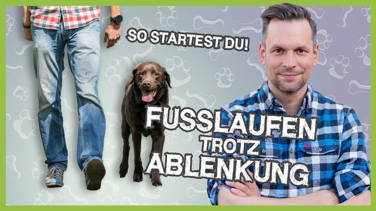 FUSSLAUFEN verbessern: Bombensicher trotz Ablenkung!