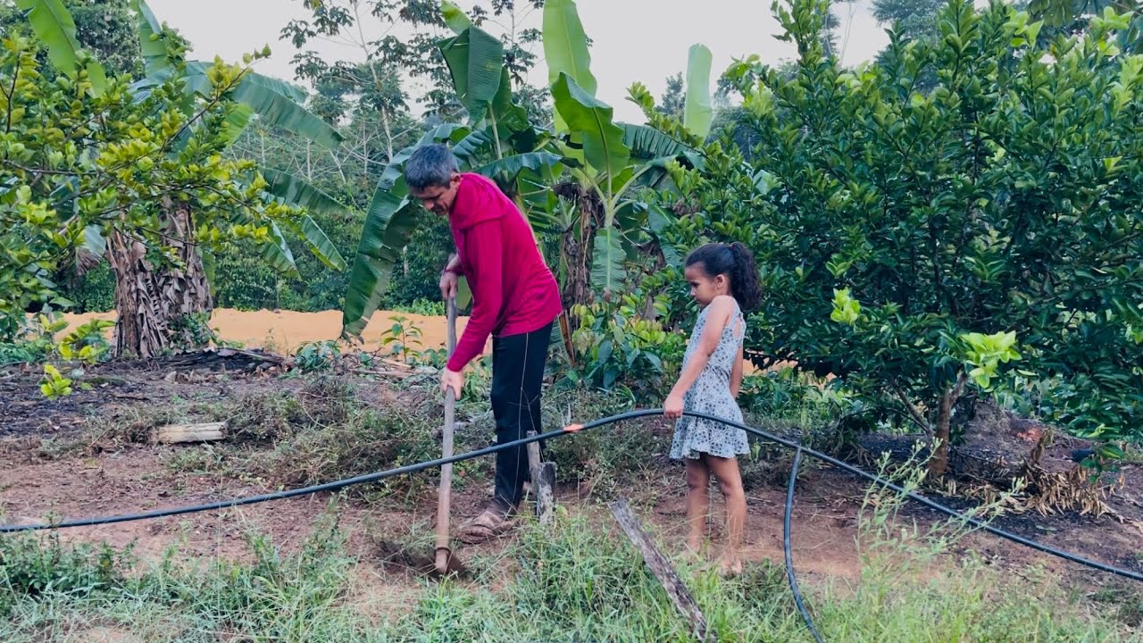 ROÇA Com SURPRESAS! Olha Só Oque APARECEU AQUI + CAPINANDO O QUINTAL!