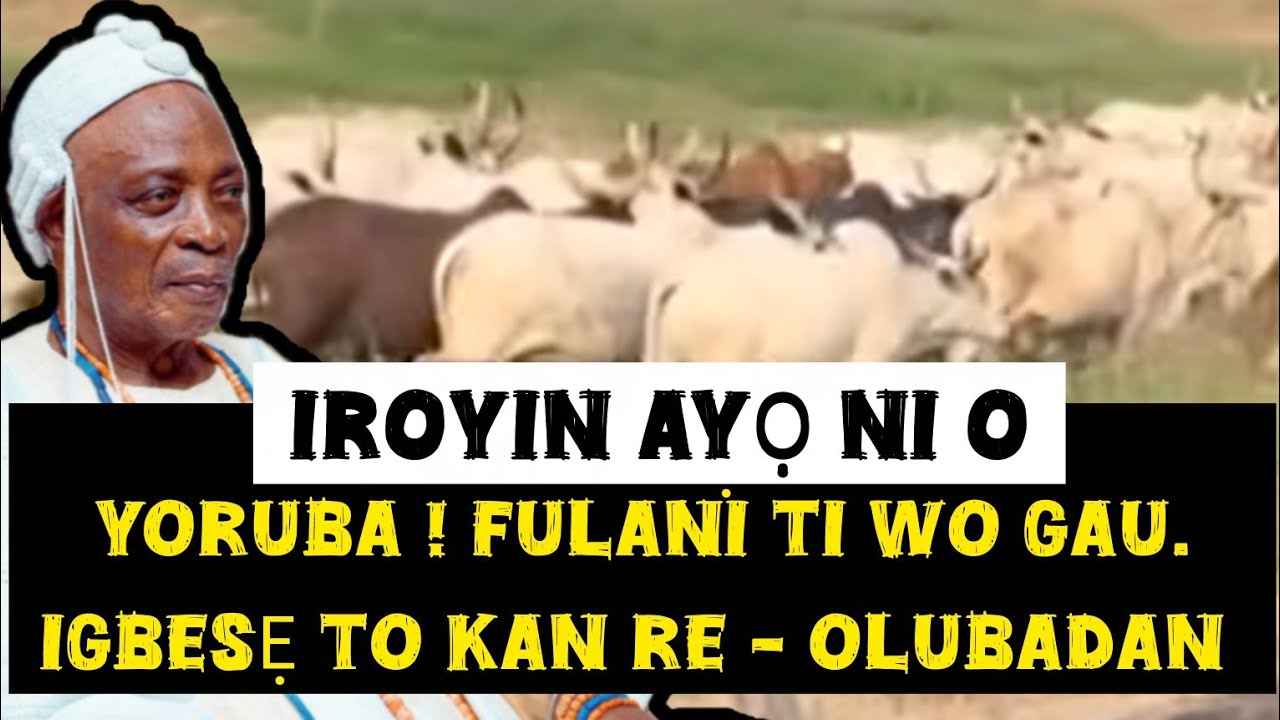 IROYIN AYỌ NI O! YORUBA ! FULANI TI WO GAU - OLUBADAN GBE IGBESẸ NLA. || ENOUGH IS ENOUGH FULANI 