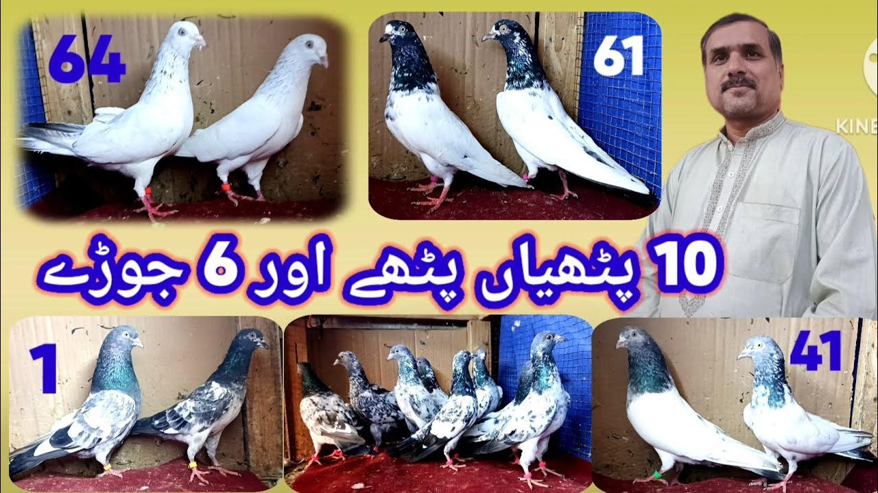 Pathhiyan pathhy and six pairs