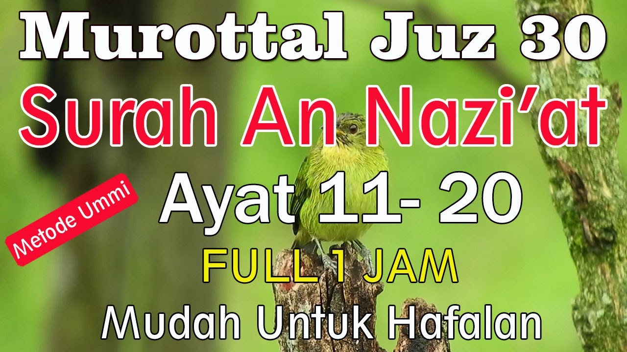 Surah An Naziat Ayat 11-20 metode ummi | Murottal quran surat an nazi'at 11-20