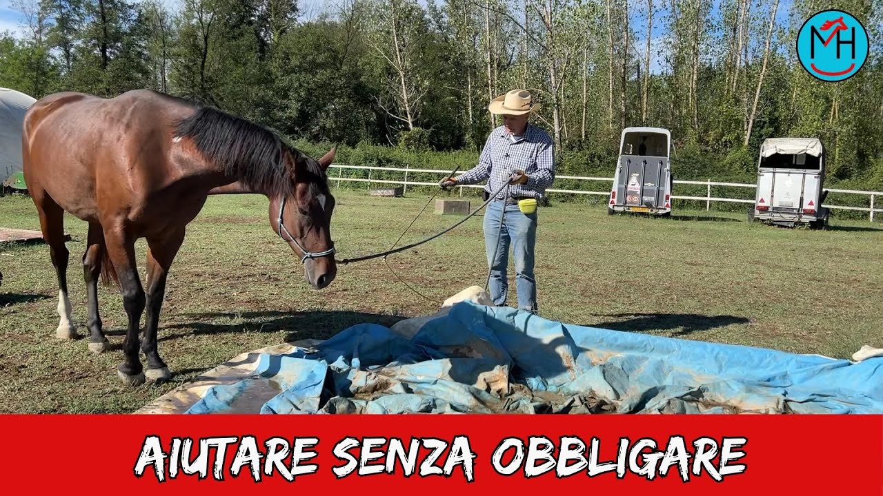 Impara ad aiutare senza obbligare il tuo cavallo