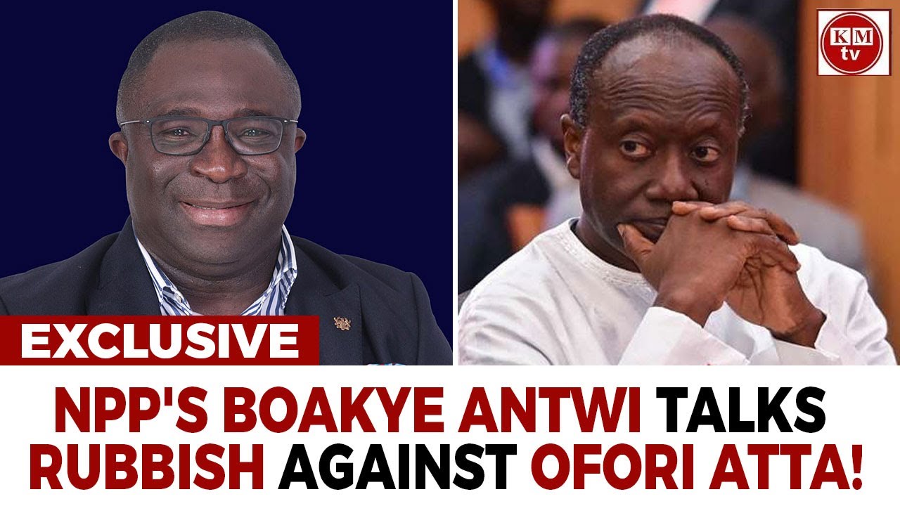 Former Nana Addo Appointee Tells Mahama To Jail Ofori-Atta