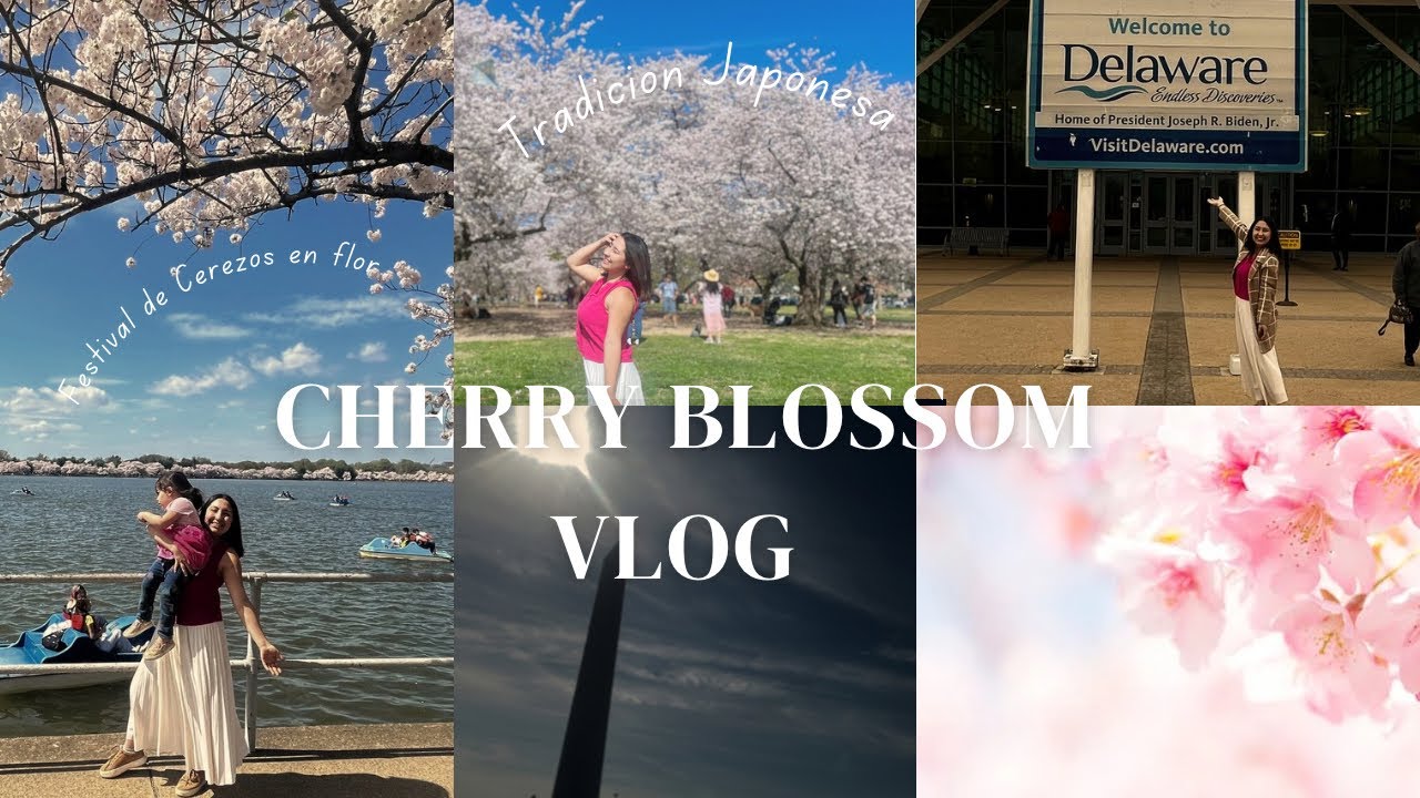 Vlog #1 Cherry Blossom Festival | Washington D.C