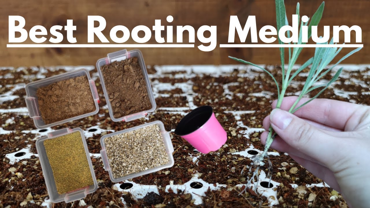 The Secret Soil Mix Professional Growers Use for Massive Profits