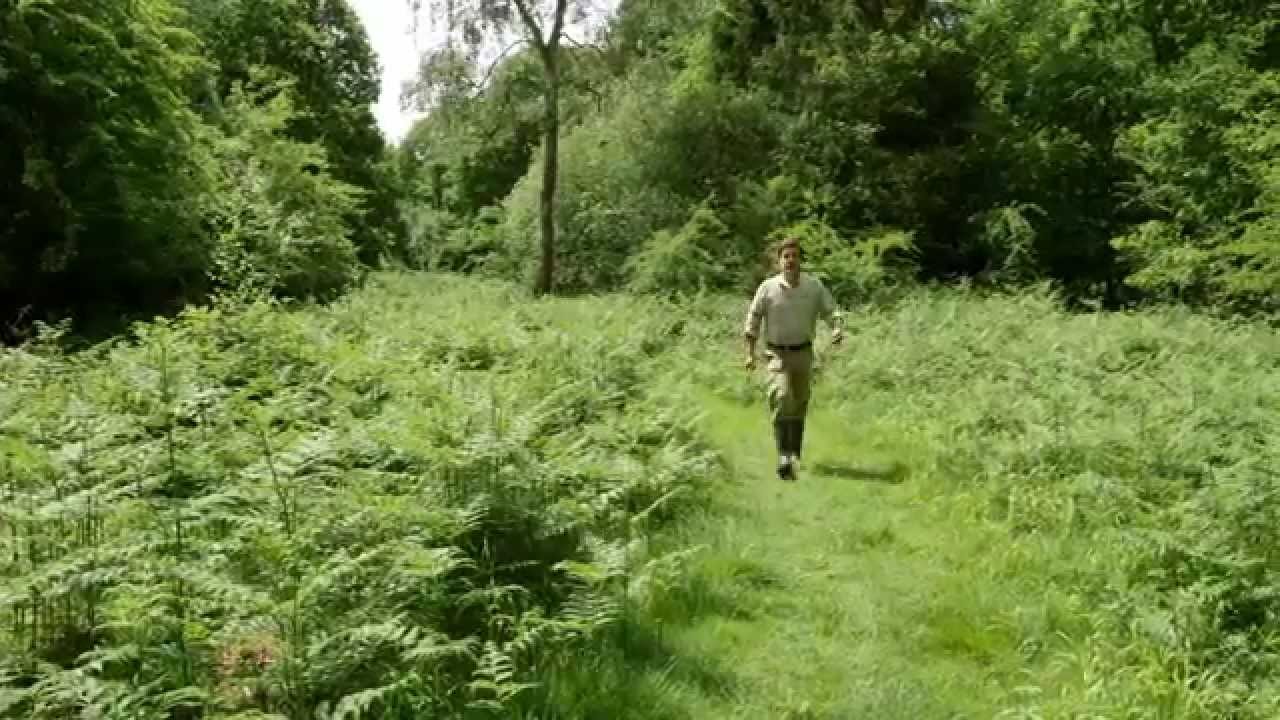 The benefits of managing woodland using rides