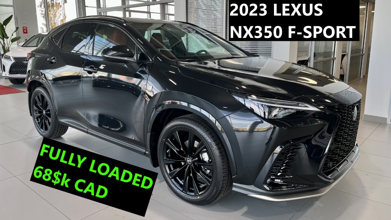 2023 Lexus NX350 F-Sport, Black on Red, walkaround in 4K