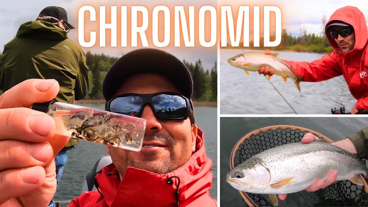 Spring Chironomid Stillwater Fly Fishing Interior of British Columbia