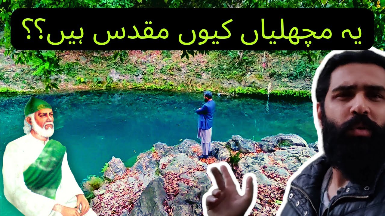 Do not catch these fish | Neelan Bhoto | sanda pathar| pir sohawa road Islamabad