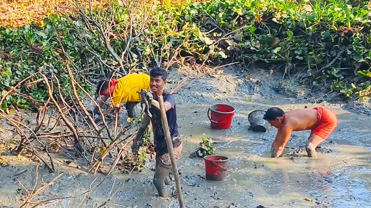 মাছ ধরতে গিয়ে এটা কি দেখলাম😳#parthozone #vairal #postviralシ #fyp #ফিশিং #fishinglife #গ্রাম #মাছধরা
