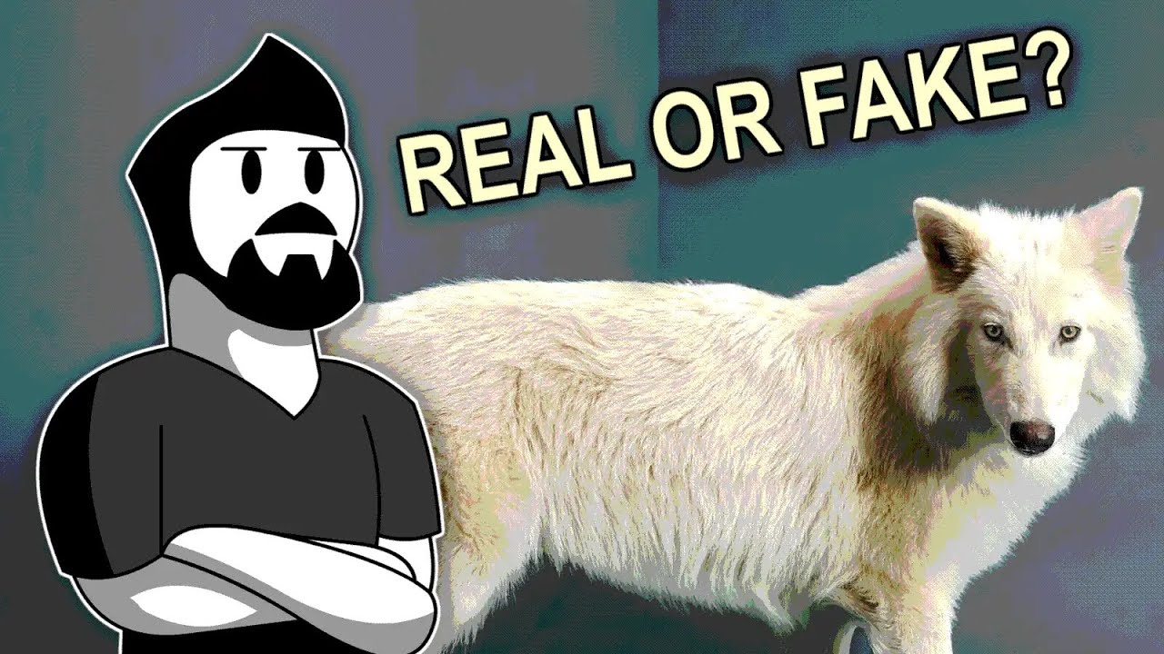 We need to talk about Colossal's 