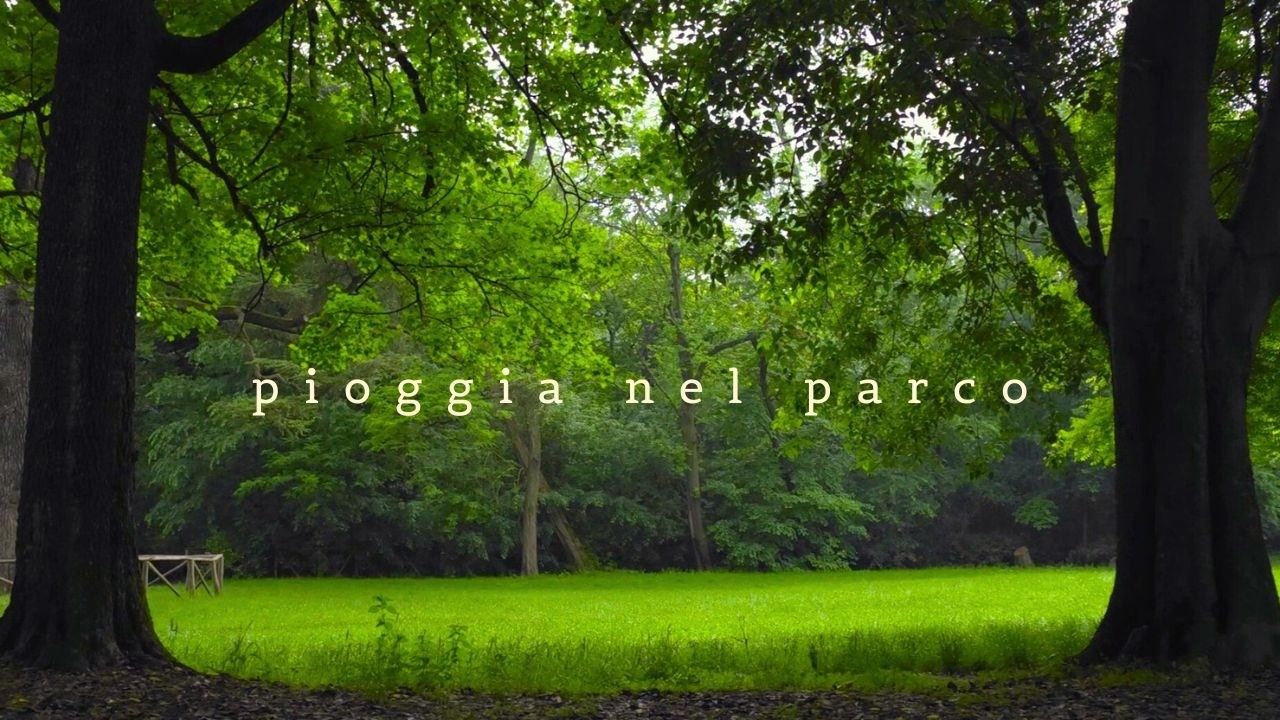 Puoi rilassarti con questa Pioggia nel parco 🍃​🌲​| Suoni della Natura per Dormire