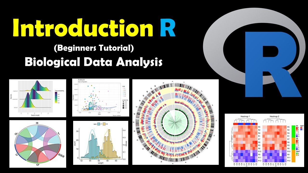 Introduction to R for Biologists | Run a Simple Program Complementary DNA