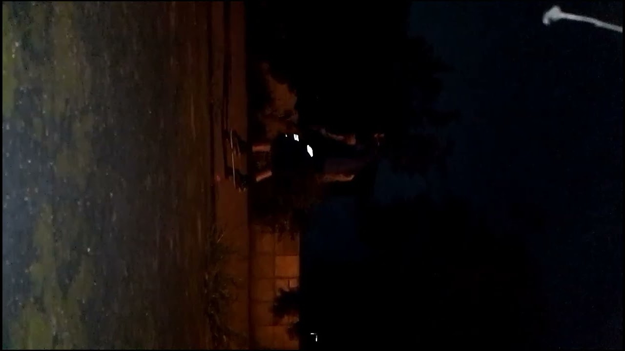 Felipe, skates.