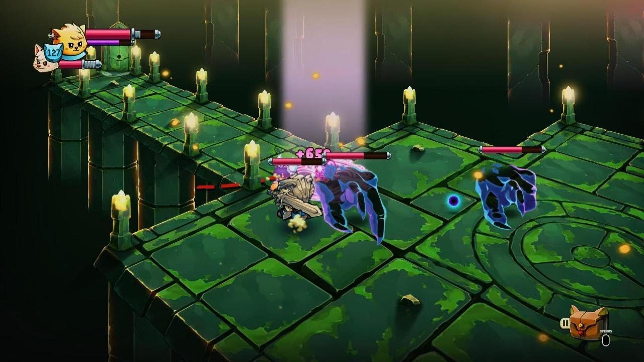 Cat Quest II-level 300