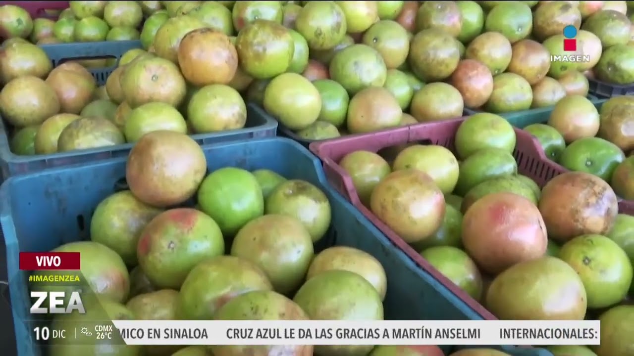 Así el precio de la naranja, mandarina y toronja en la Central de Abasto en la CDMX | Francisco Zea