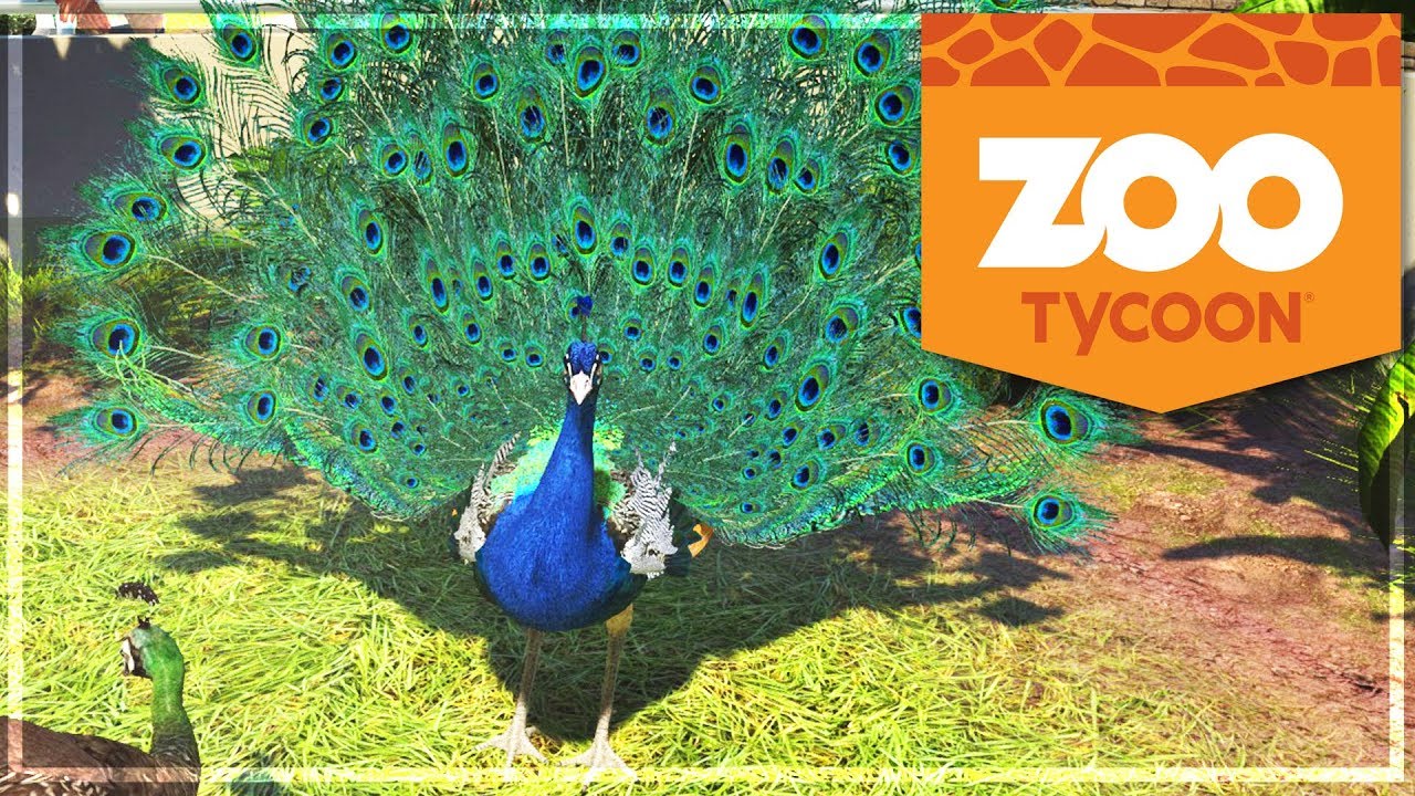 ZOO TYCOON : Amélioration du ZOO et NOMS des ANIMAUX #8 (Zoo Tycoon: Ultimate Animal Collection)
