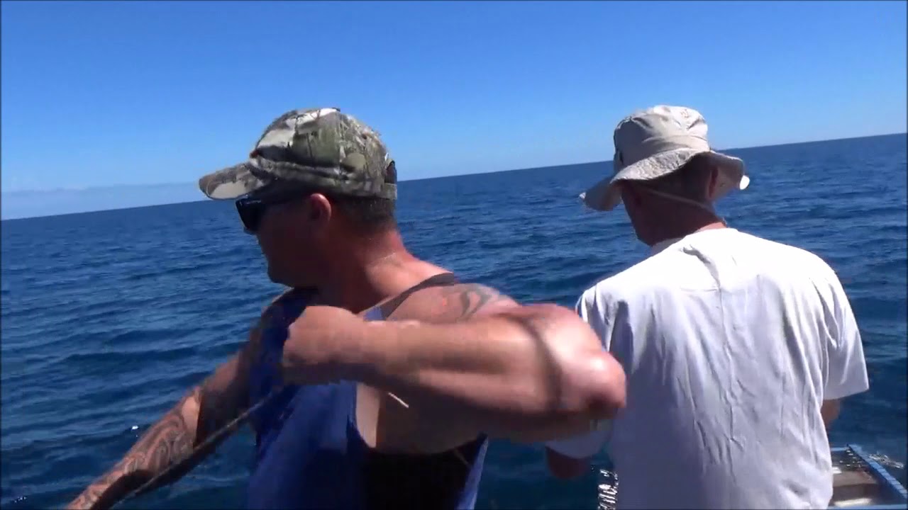 Longline Fishing off the Manawatu Heads