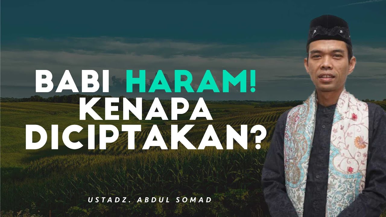 BABI HARAM! Kenapa Allah SWT Menciptakan? | Ustadz Abdul Somad