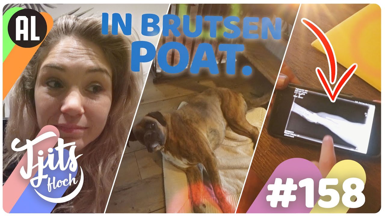 HOND BREEKT POOT // Tjits Vlog #158