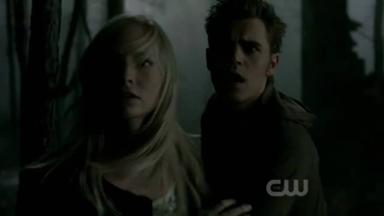 The vampire diaries - Stefan, Caroline & the Werewolf