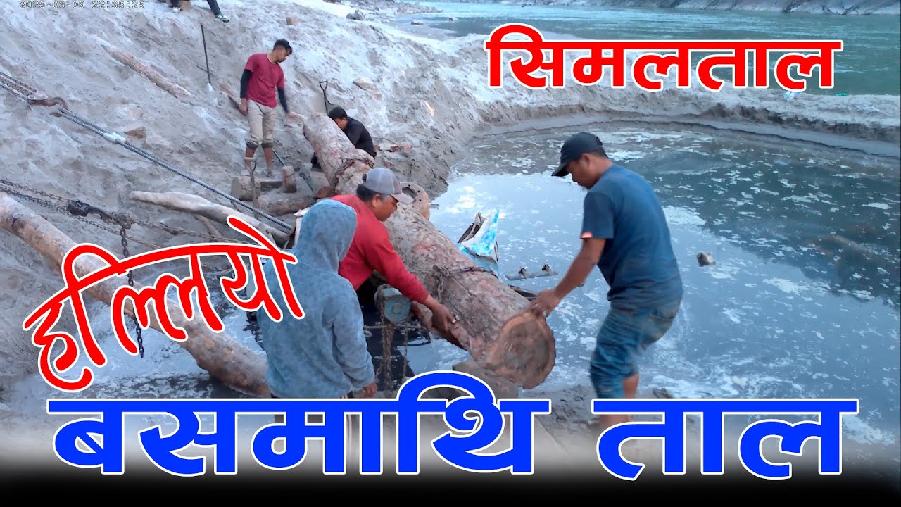 हराएको बसमाथि बढेमानको रुख ! हल्लायो बडो मुस्किलले। अब त केही होला कि ? #shorts