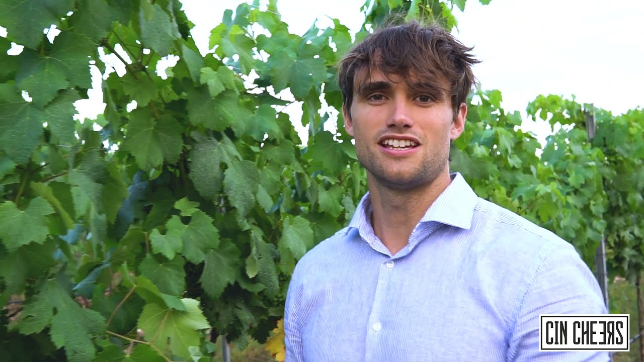 Alla scoperta di 3 vitigni nel trevigiano: Glera, Pinot Grigio e Raboso. Ecco tutte le differenze