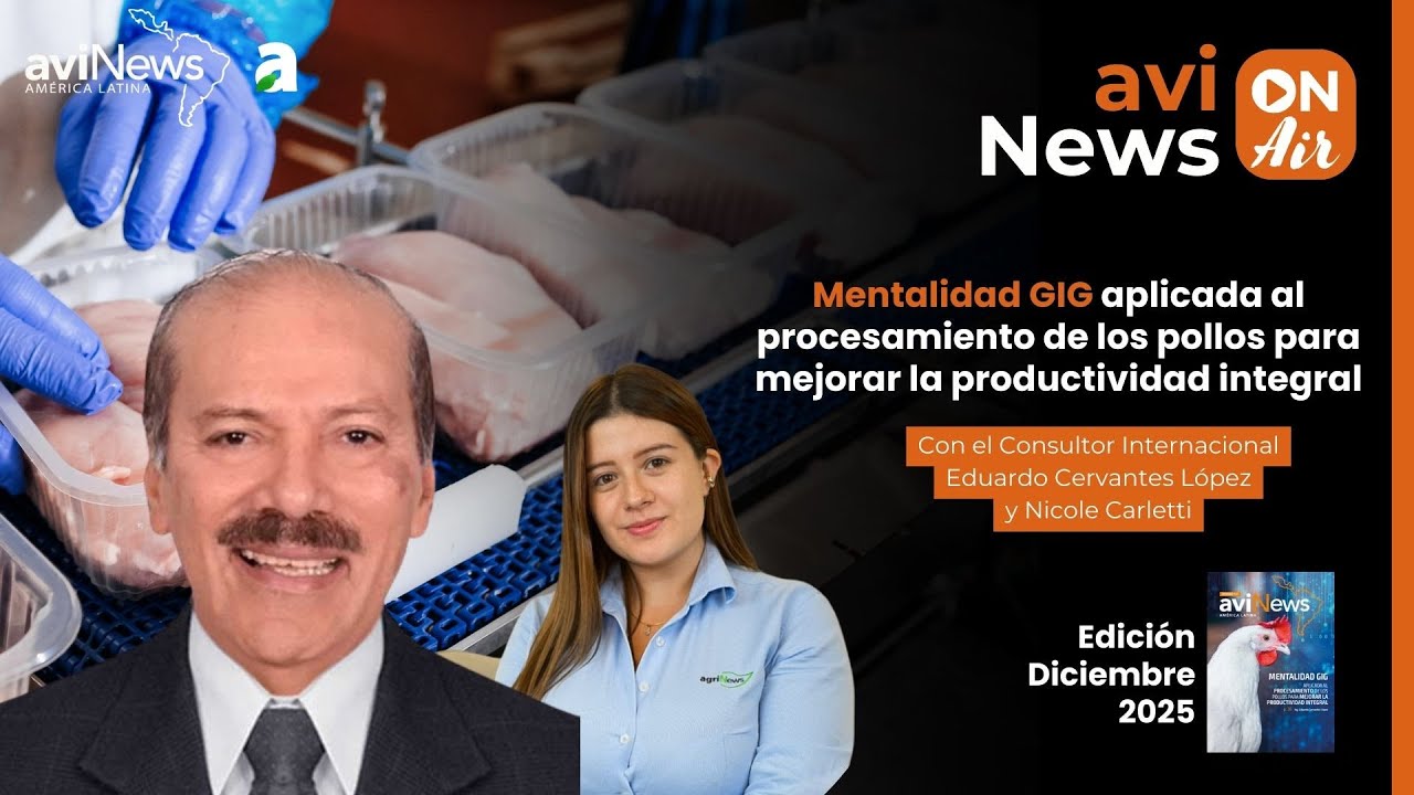 Mentalidad GIG aplicada al procesamiento de los pollos para mejorar la productividad integral