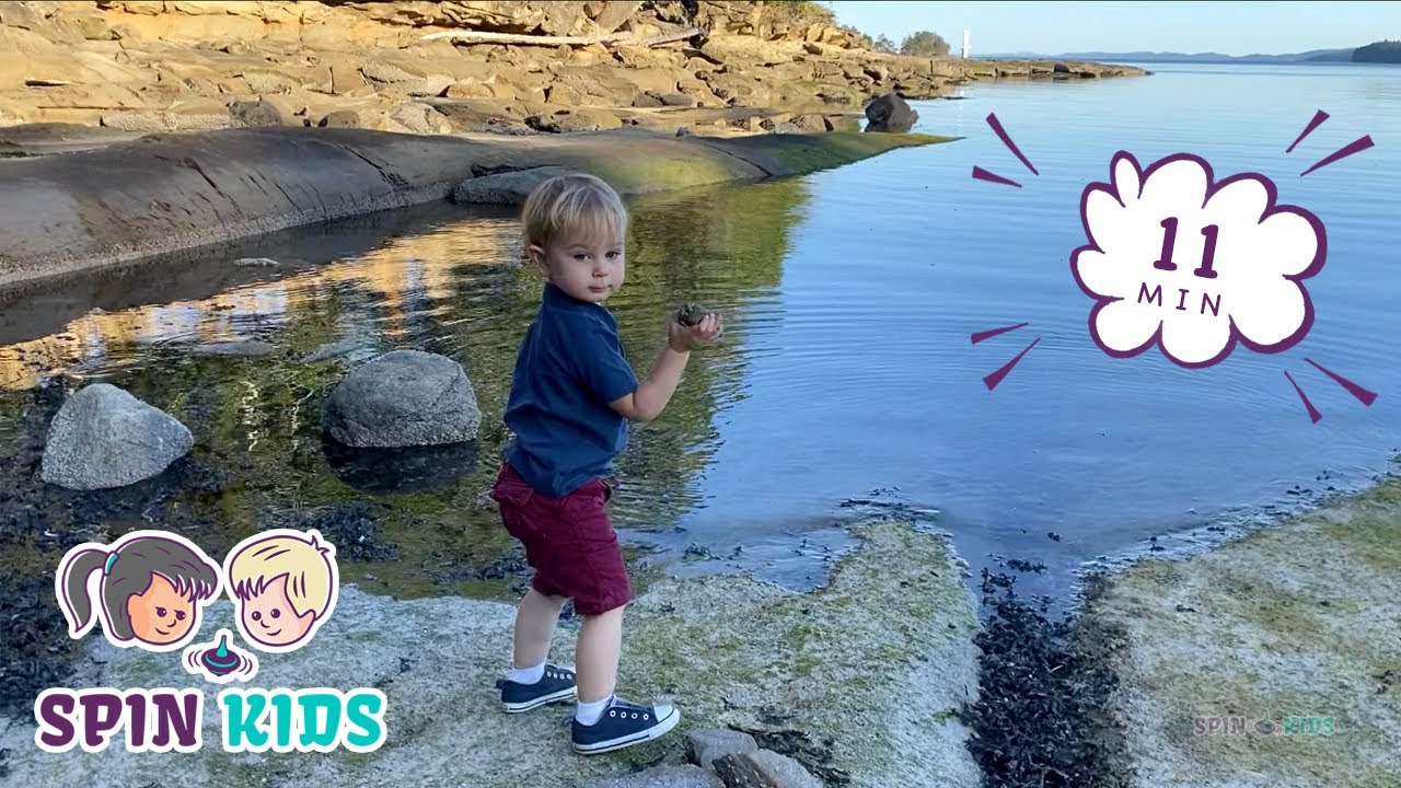 Throwing Stones into Beautiful Water | Nature Sensory for Families