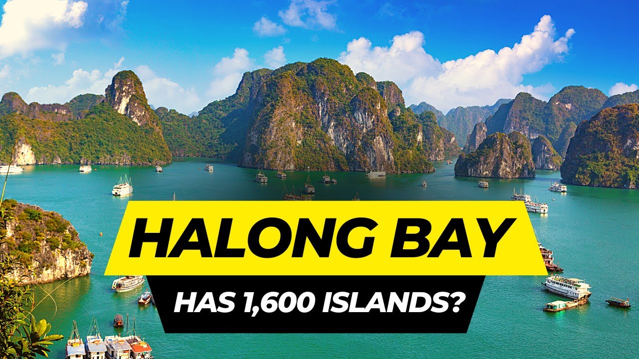 Top 10 Things to do in Halong Bay 2026 | Vietnam Travel Guide