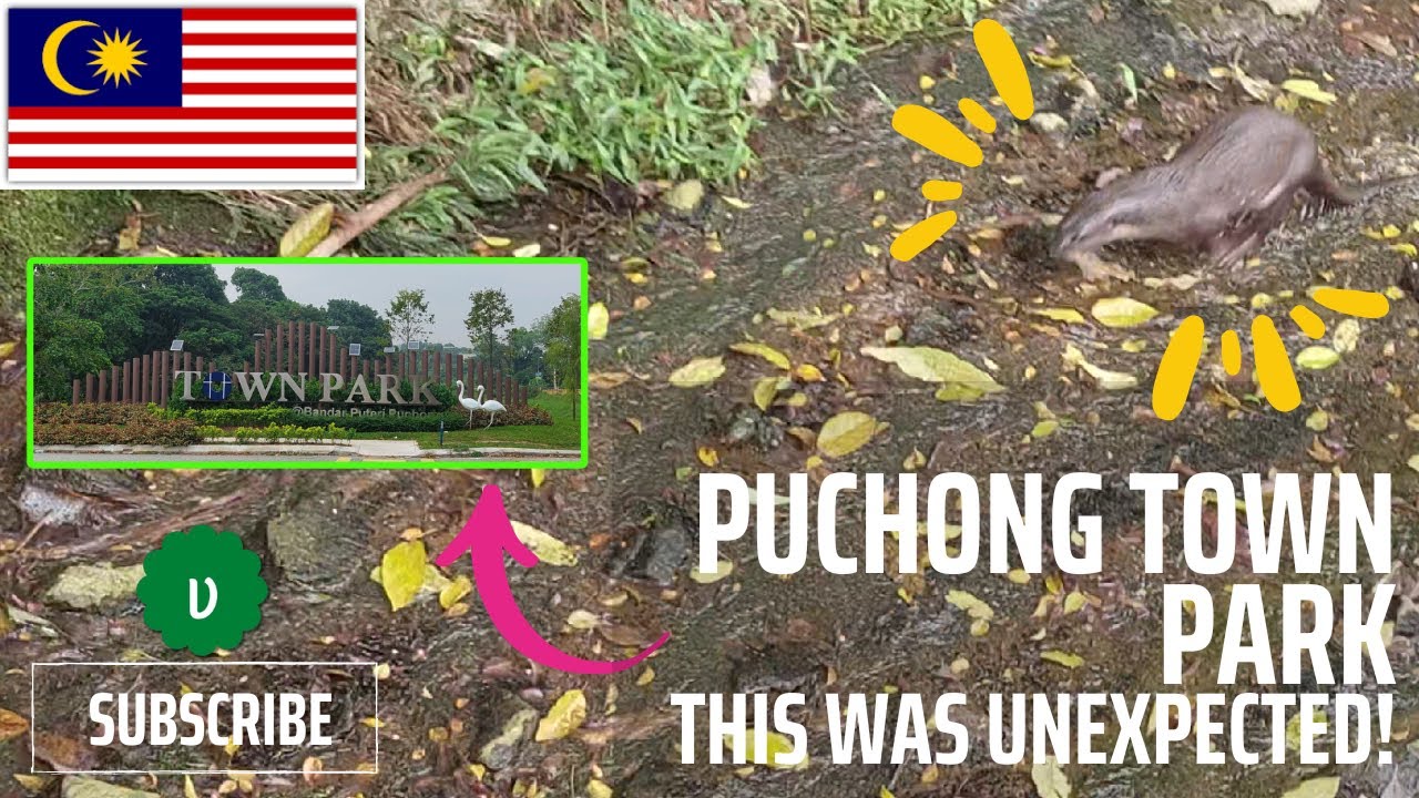🇲🇾 Puchong Puteri Town Park | Nature Within Civilization & Surprise Discovery!