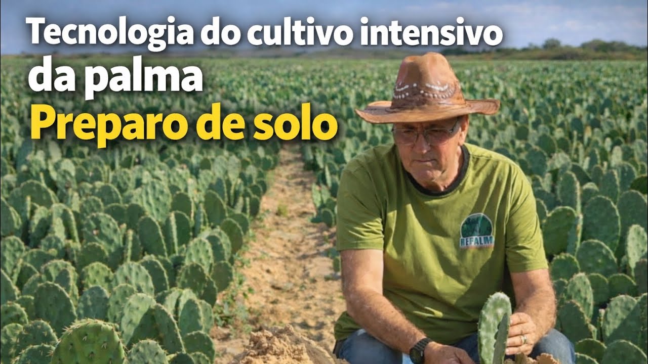 PREPARO DE SOLO