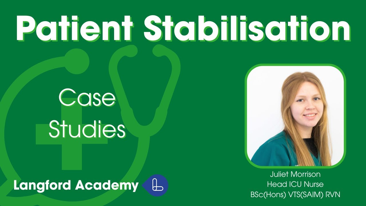 Patient Stabilisation Part 3: Case Studies